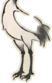 丹顶鹤